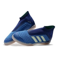 Adidas Predator Tango 18+ IC - Blauw Wit_2.jpg